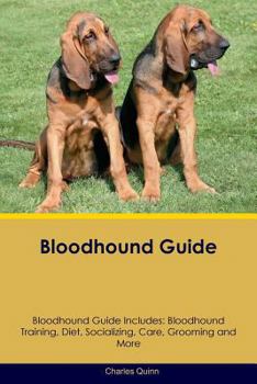 Paperback Bloodhound Guide Bloodhound Guide Includes: Bloodhound Training, Diet, Socializing, Care, Grooming, Breeding and More Book
