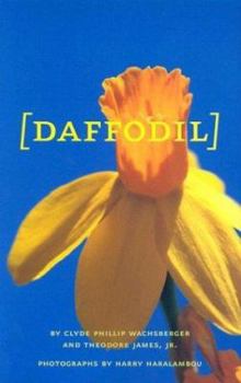 Hardcover Daffodil Book
