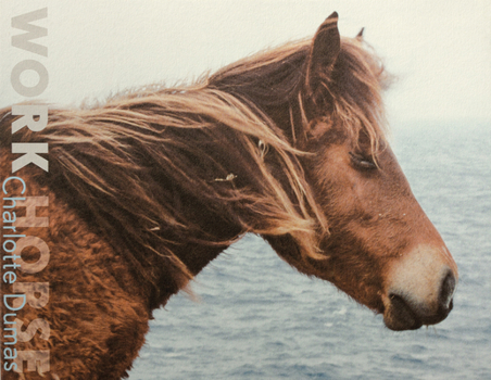 Hardcover Charlotte Dumas: Work Horse Book