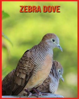 Zebra Dove: Fun Learning Facts About Zebra Dove