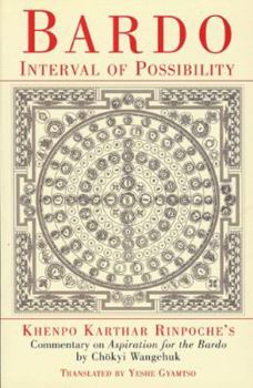 Paperback Bardo: Interval of Possibility Book