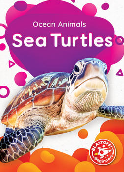 Library Binding Sea Turtles Book