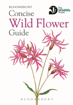 Paperback Concise Wild Flower Guide Book