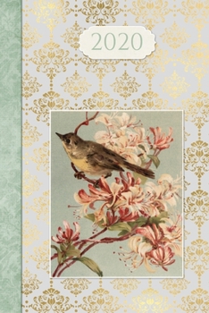 Paperback 2020 Journal Planner: Vintage Bird - 12 Months Week to page 150 pages 6x9 with plenty of Journal space - Contacts - Password - Birthday list Book