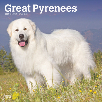 Calendar Great Pyrenees 2021 Square Book