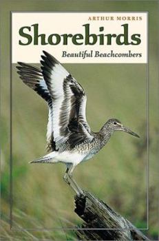 Paperback Shorebirds: Beautiful Beachcombers Book