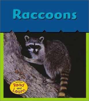 Paperback Raccoons (What's Awake?) Book