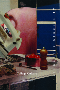 Paperback Collage Culture: Readymades, Meaning, and the Age of Consumption Book
