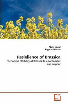 Paperback Resielience of Brassica Book