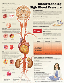 Wall Chart Understanding High Blood Pressure Book