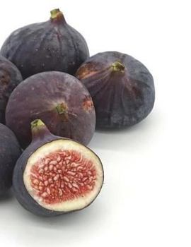 Paperback Figs Notebook Large Size 8.5 x 11 Ruled 150 Pages Softcover Book