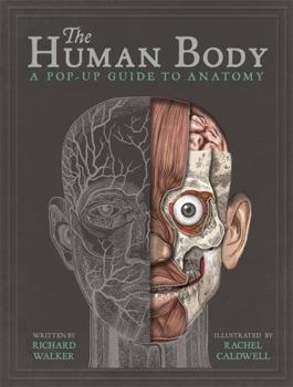 Hardcover Human Body Book