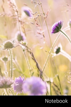 Notebook: Fleurs Sauvages, Fleurs Sur Le Terrain, Été, Flore Carnet / Journal / Livre d'écriture / Calepin / Agenda / Notes - 6 x 9 pouces (15,24 x 22,86 cm), 110 pages, surface brillante.