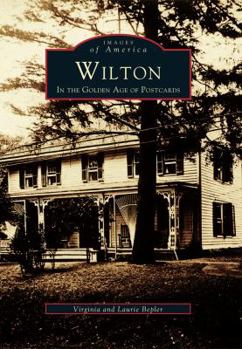 Paperback Wilton in the Golden Age of Postcards Book
