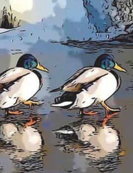 Paperback Ducks Notebook Large Size 8.5 x 11 Ruled 150 Pages Book