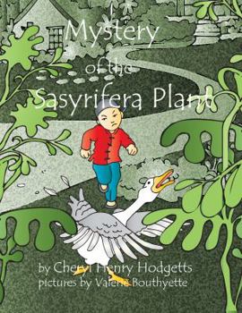 Mystery of the Sasyrifera Plant: The Sasyrifera Plant
