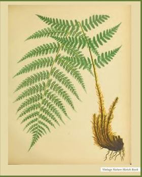 Vintage Nature Sketch Book: Vintage Nature Print (24), 8" x 10", Sketch Pad, For Drawing, Unlruled Drawing Paper Pad - [Professional Binding]