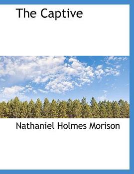 Paperback The Captive Book