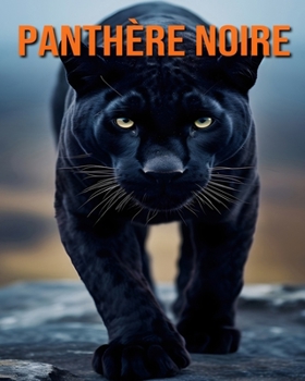 Panthère Noire: Amusement et Faits et Images sur les Panthères Noires