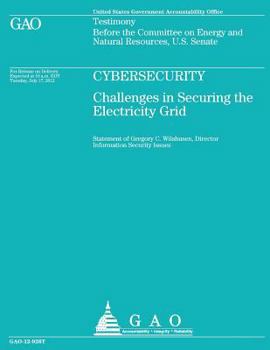 Cyberstudy: Challenges in Securing the Electricity Grid