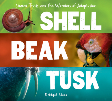 Hardcover Shell, Beak, Tusk: Shared Traits and the Wonders of Adaptation Book