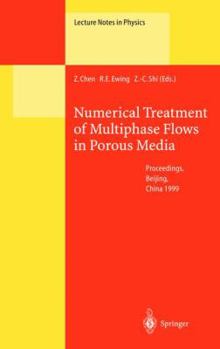 Paperback Numerical Treatment of Multiphase Flows in Porous Media: Proceedings of the International Workshop Held at Beijing, China, 2-6 August 1999 Book