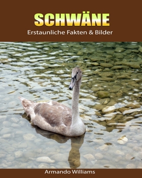 Paperback Schw?ne: Erstaunliche Fakten & Bilder [German] Book