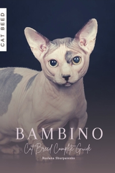 Bambino: Cat Breed Complete Guide