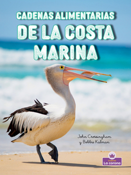 Cadenas alimentarias de la costa marina (Seashore Food Chains) (Cadenas alimentarias - second edition) (Spanish Edition)