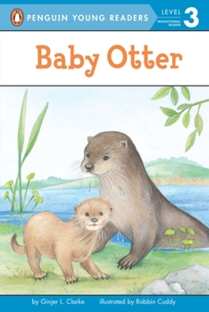 Baby Otter - Book  of the Baby Animals