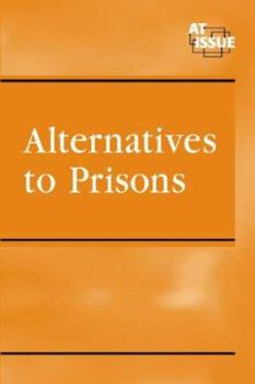 Library Binding Alternatives to Prisons Book