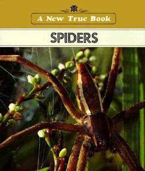 Paperback New True Books: Spiders Book