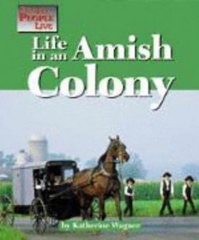 Life in an Amish Community (Way People Live) - Book  of the Way People Live