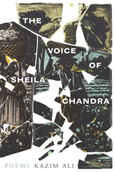 Paperback The Voice of Sheila Chandra Book