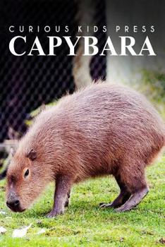 Paperback Capybara - Curious Kids Press: Kids book about animals and wildlife, Children's books 4-6 Book