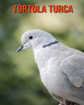Tórtola turca: Imágenes asombrosas y datos curiosos