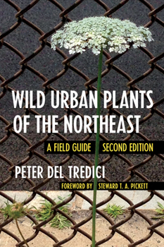 Paperback Wild Urban Plants of the Northeast: A Field Guide Book