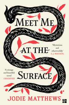Paperback Fourth Estate Meet Me at the Surface. Book