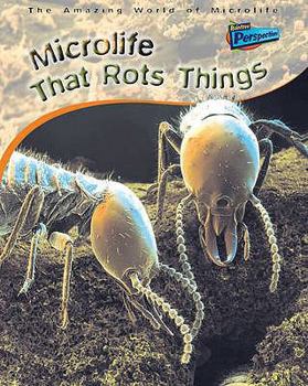 Microlife That Rots Things (Amazing World of Microlife)