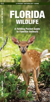 Paperback Florida Wildlife: An Introduction to Familiar Species Book