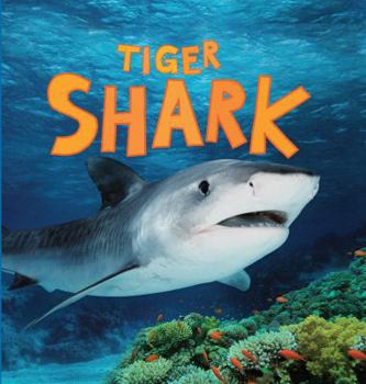 Paperback Discover Sharks: Tiger Shark Book
