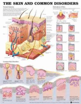 Hardcover The Skin and Common Disorders Anatomical Chart Book