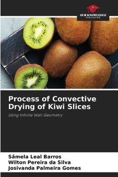 Paperback Process of Convective Drying of Kiwi Slices Book