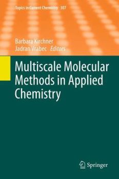 Hardcover Multiscale Molecular Methods in Applied Chemistry Book
