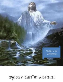 Paperback The River of Life Book