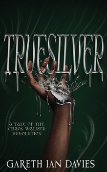 Paperback Truesilver Book