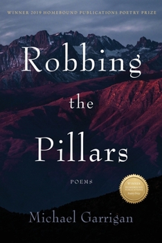 Paperback Robbing the Pillars Book