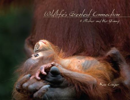 Hardcover Wildlife's Greatest Connection: A Mother and Her Young Book