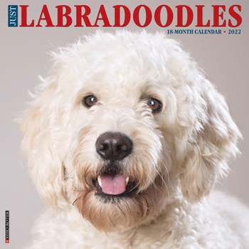 Calendar Just Labradoodles 2022 Wall Calendar (Dog Breed) Book