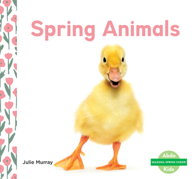 Library Binding Spring Animals Book